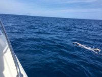 Me Swimming